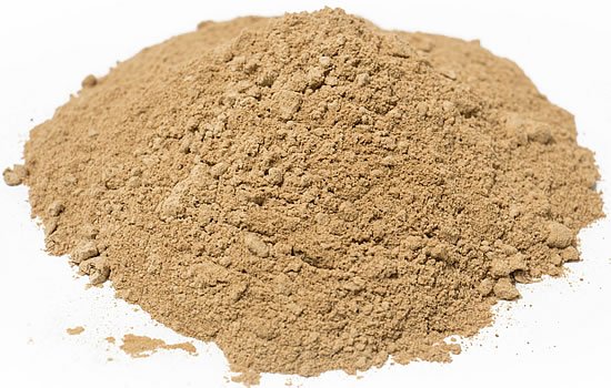 Lion's Mane mushroom, powder Organic | T.M. Ward Coffee Company