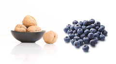 Dried Bluberry Walnut Mix- 8oz