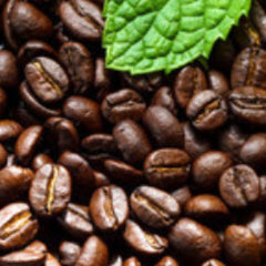 Southern Pecan Coffee - 1 lb (16 oz) T.M. Ward Coffee Company