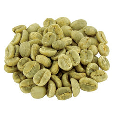 Honduras Santa Rosa Green Coffee - 1lb (16oz) T.M. Ward Coffee Company